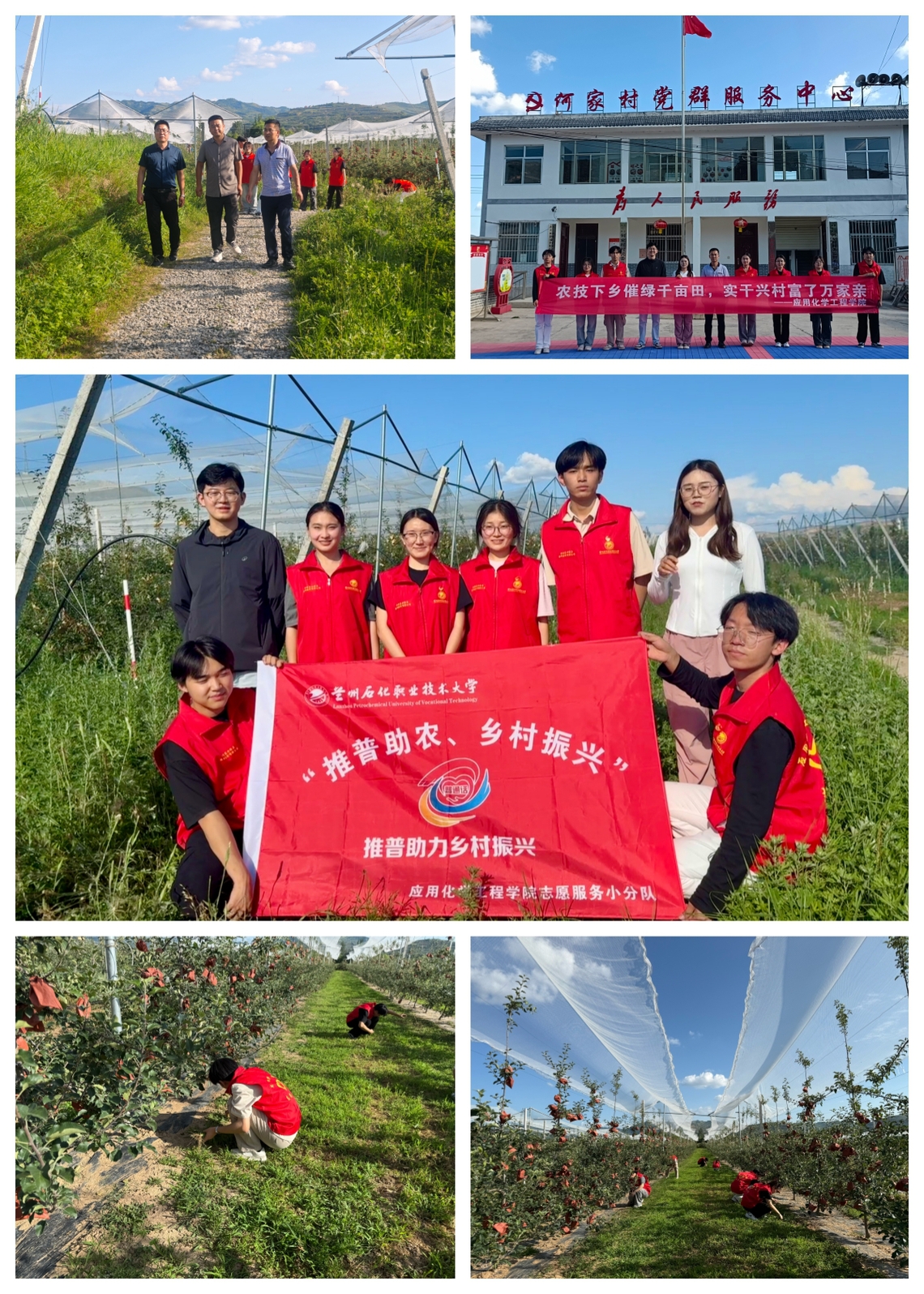 微信图片_20250719103207.jpg 微信图片_20250719103207.jpg